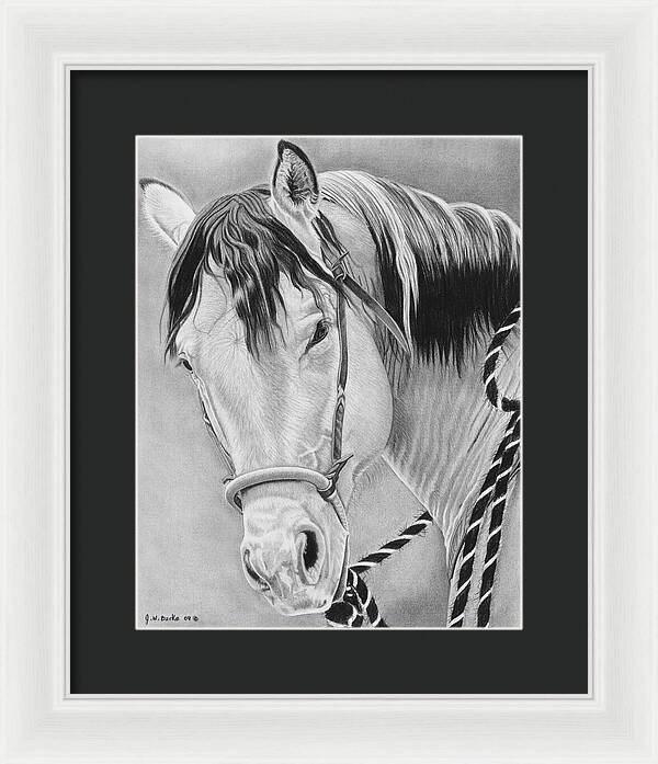 Watcha Lookin at - Framed Print