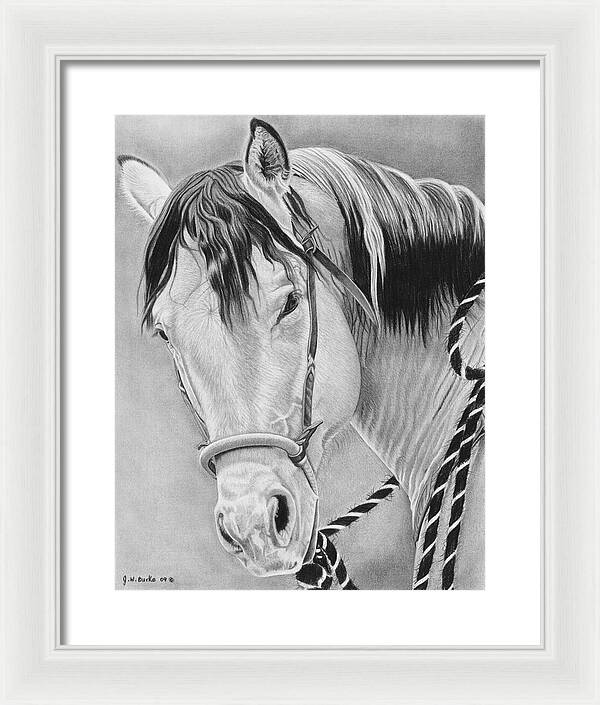 Watcha Lookin at - Framed Print